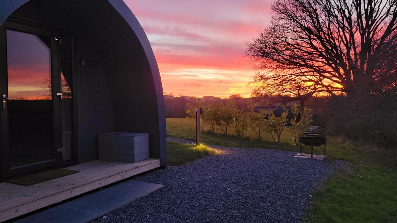 فيلا Odli Glamping - Luxury Glamping Pod ويلشبول المظهر الخارجي الصورة